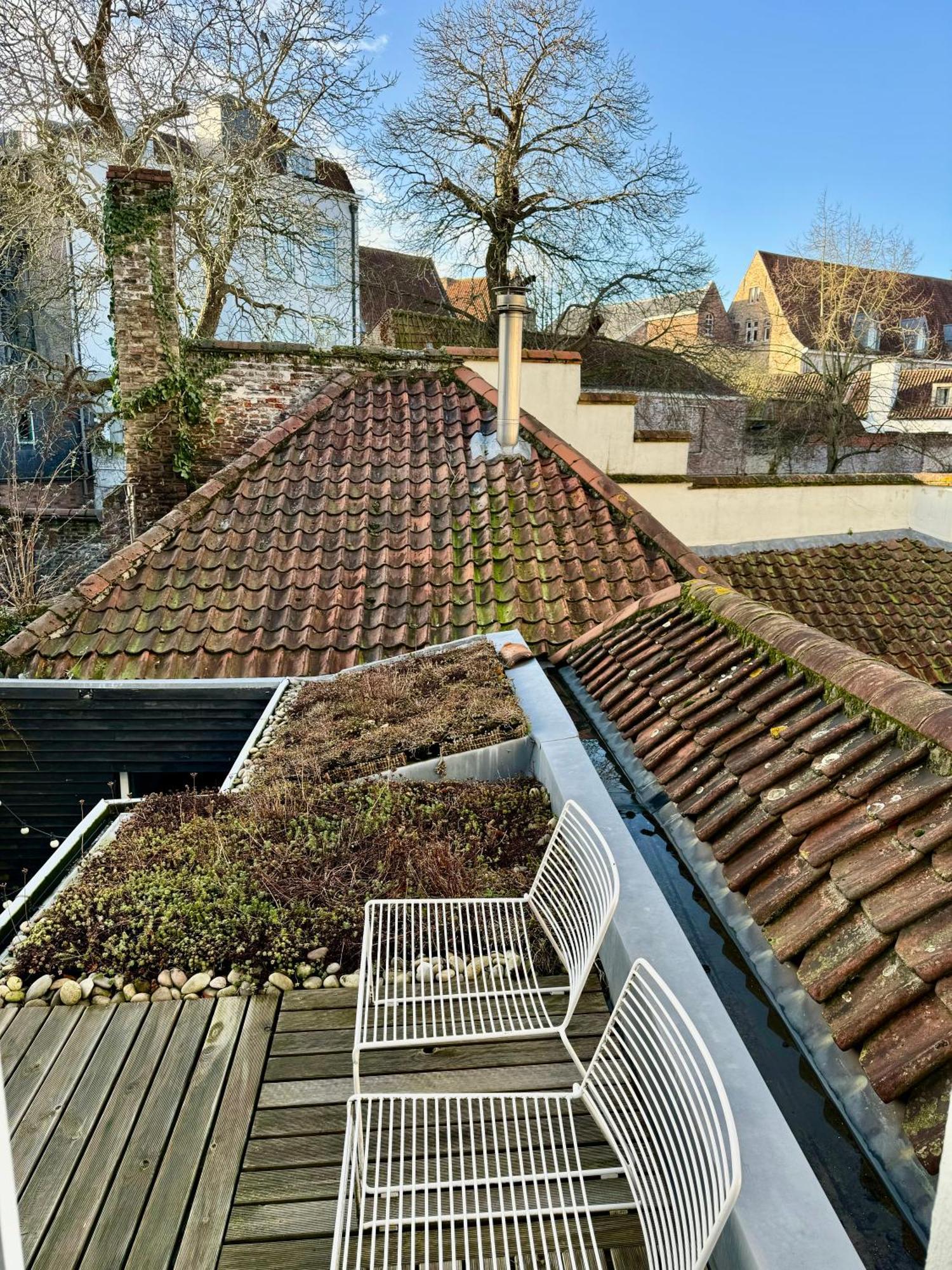 Sleeping Swan Bed & Breakfast Bruges Exterior photo