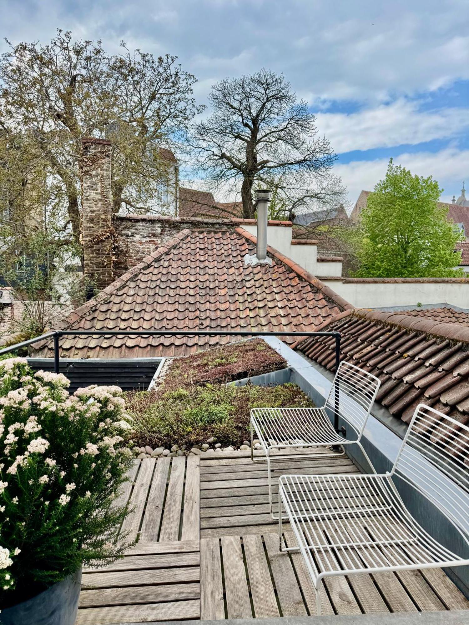 Sleeping Swan Bed & Breakfast Bruges Exterior photo